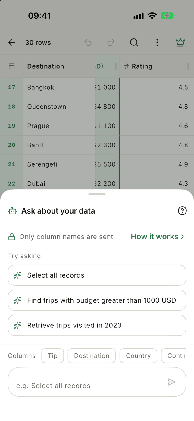 La hoja «Ask about your data», con preguntas sugeridas y una nota que indica que solo se envían los nombres de las columnas